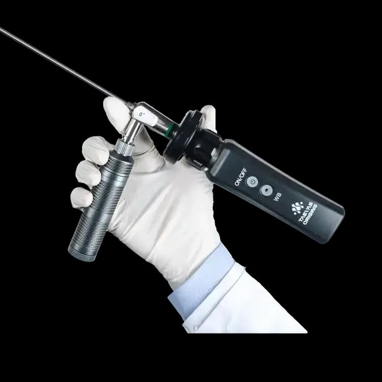 Endoscope