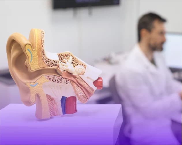 Audiologists in Thailand using Oscilla A50