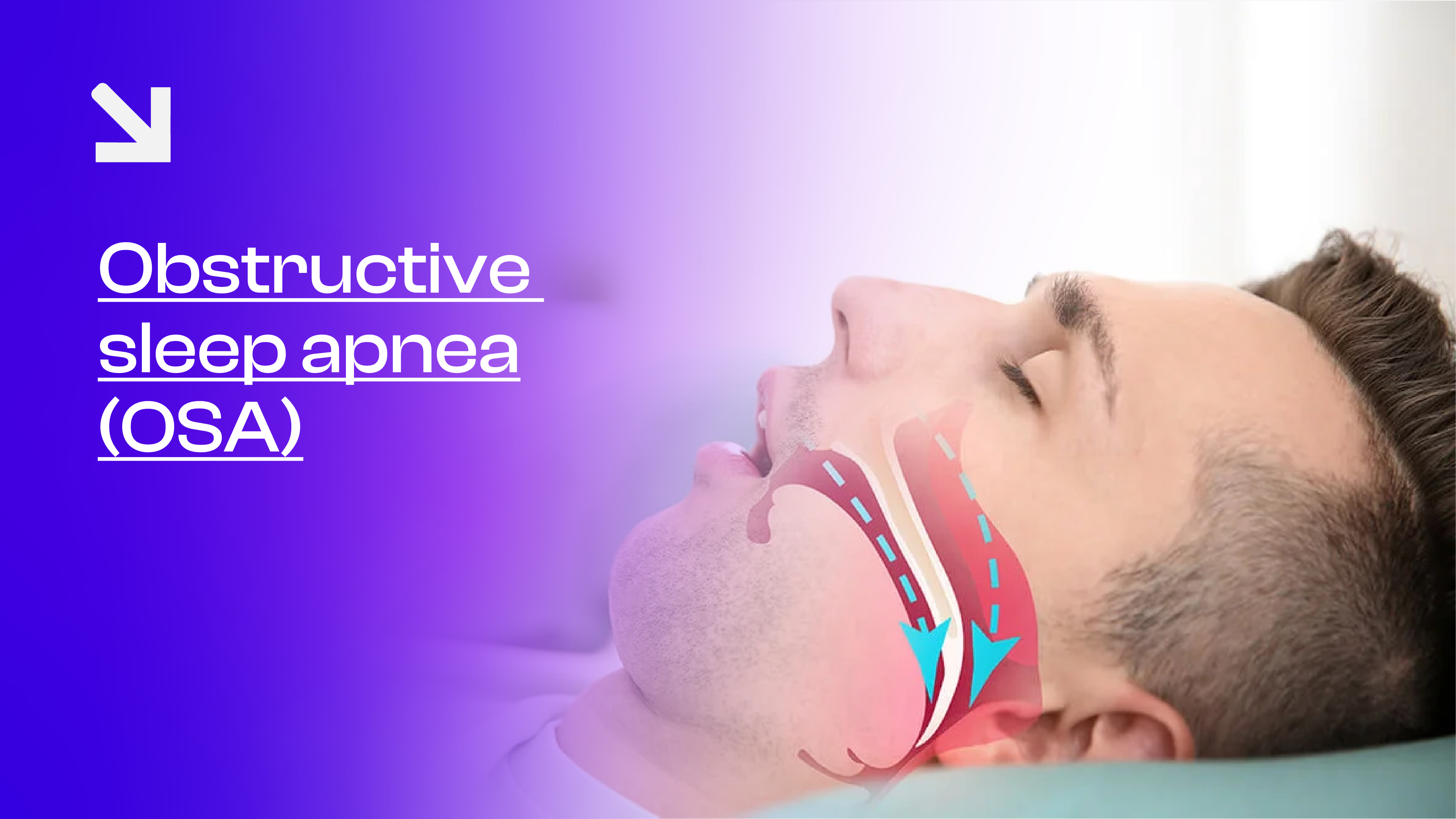 blogs for products - lt-05 copy